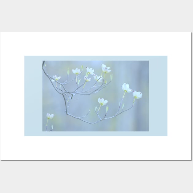 Dogwood Blossoms Wall Art by LaurieMinor